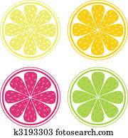 Citrus fruit background vector - Lemon, Lime and Orange Citrus fruit background vector - Lemon, Lime and Orange