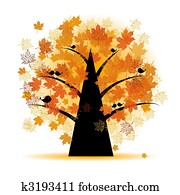 Maple tree, autumn leaf fall Maple tree, autumn leaf fall