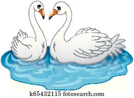 Swan couples on the lake Swan couples on the lake