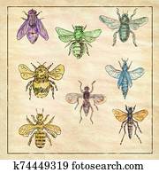 Vintage Bees and Flies Collection on Antique Paper Vintage Bees and Flies Collection on Antique Paper
