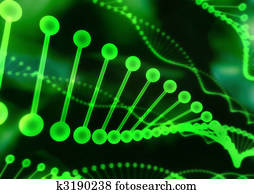 די.אנ.אי, שלשל