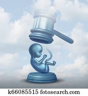 Abortion Laws Abortion Laws