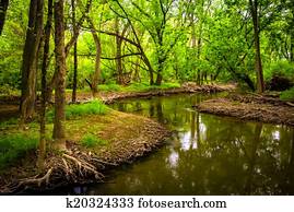 Stream at Wildwood Park, in Harrisburg, Pennsylvania. Stream at Wildwood Park, in Harrisburg, Pennsylvania.