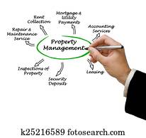 תכונה, ניהול