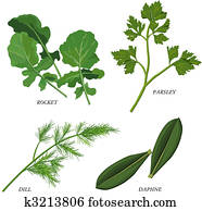 Herbs Herbs
