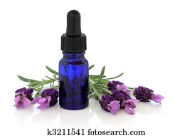 Lavender Herb Flower Essence Lavender Herb Flower Essence