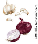 Onion and garlic Onion and garlic
