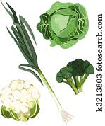 Vegetables Vegetables