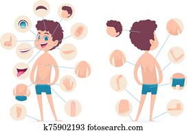 Boy body parts. Young human school male kid anatomy hands legs fingers head vector cartoon character Boy body parts. Young human school male kid anatomy hands legs fingers head vector cartoon character