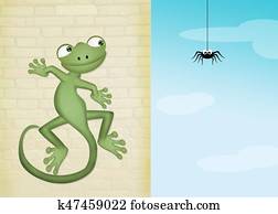 gecko and spider gecko and spider