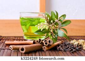 Herbs and tea Herbs and tea
