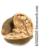 Isolated Baobab Fruit