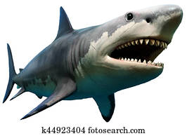 megalodon