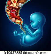 Pregnancy Diet Health Risk Pregnancy Diet Health Risk