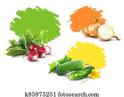 Vegetable set. Onion, radish, cucumber, blot. Harvest and Thanksgiving fruit of nature, food collection for restaurants, menus, posters and grocery bags. Graphics and color Vegetable set. Onion, radish, cucumber, blot. Harvest and Thanksgiving fruit of nature, food collection for restaurants, menus, posters and grocery bags. Graphics and color