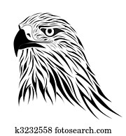 Hawk, tattoo Hawk, tattoo