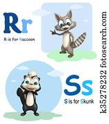 Raccoon and Skunk with Alphabate Raccoon and Skunk with Alphabate