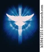 shining dove with rays on a dark shining dove with rays on a dark