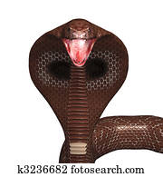 snake cobra snake cobra