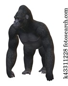 3D Rendering Gorilla on White 3D Rendering Gorilla on White