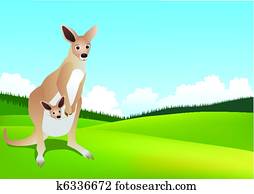 canguru, em, a, selvagem