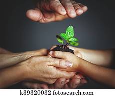 concept of family, kindness and parenting. Hands of mother and father and child holding a green sprout plant concept of family, kindness and parenting. Hands of mother and father and child holding a green sprout plant