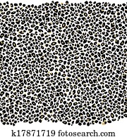 Leopard Print Background Leopard Print Background