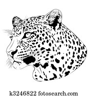 Leopard, tattoo Leopard, tattoo
