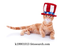 Patriotic Cat Patriotic Cat