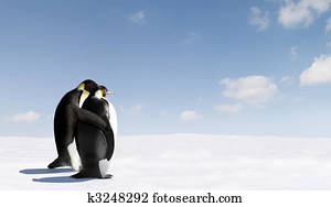 Penguin Love Penguin Love