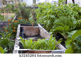 Urban Garden Urban Garden