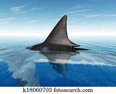 כריש לבן גדול, סנפיר