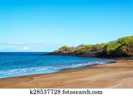 Beach in the Galapagos