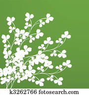 Clover foliage Clover foliage