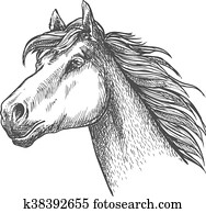 Galloping Horse Of Andalusian Breed Sketch Symbol