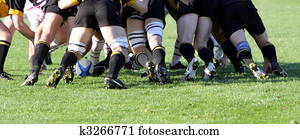 rugby rugby