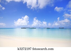 beach scene beach scene