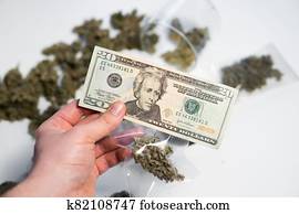 cannabis, in, economics., geld, weed., sativa, medizinische, health., marihuana, knospe, und, banknoten, von, dollar.