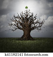 Concept Of Optimism Concept Of Optimism