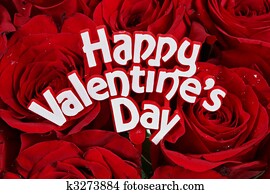 Happy Valentines Day on roses Happy Valentines Day on roses