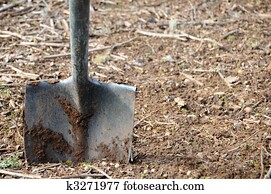 Shovel in Dirt