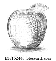 sketch apple sketch apple