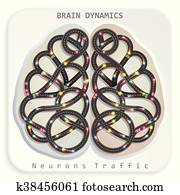 Brain Dynamics Brain Dynamics