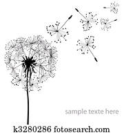 dandelions dandelions