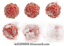 Destruction of tumor cell Destruction of tumor cell