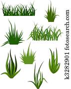 Green grass patterns Green grass patterns