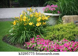 ajardinado, jardim flor