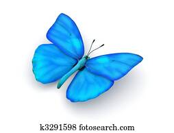 Blue Butterfly Isolated Blue Butterfly Isolated