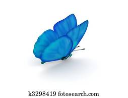 Blue Butterfly Isolated Blue Butterfly Isolated