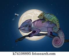chameleons on the branch in the moonlight chameleons on the branch in the moonlight